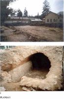 Cronica Cercetărilor Arheologice din România, Campania 2002. Raportul nr. 47