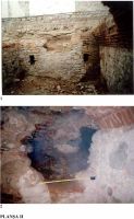 Cronica Cercetărilor Arheologice din România, Campania 2002. Raportul nr. 47