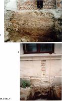 Cronica Cercetărilor Arheologice din România, Campania 2002. Raportul nr. 47