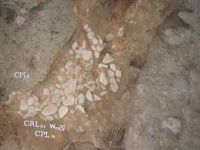 Cronica Cercetărilor Arheologice din România, Campania 2002. Raportul nr. 49