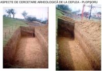 Cronica Cercetărilor Arheologice din România, Campania 2002. Raportul nr. 51