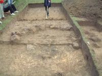 Cronica Cercetărilor Arheologice din România, Campania 2002. Raportul nr. 61.<br /> Sectorul IAB.