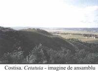 Cronica Cercetărilor Arheologice din România, Campania 2002. Raportul nr. 66