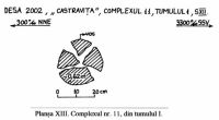 Cronica Cercetărilor Arheologice din România, Campania 2002. Raportul nr. 72