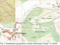 Cronica Cercetărilor Arheologice din România, Campania 2002. Raportul nr. 78