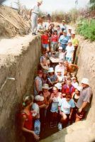 Cronica Cercetărilor Arheologice din România, Campania 2002. Raportul nr. 81