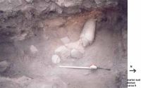 Cronica Cercetărilor Arheologice din România, Campania 2002. Raportul nr. 82