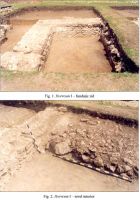 Cronica Cercetărilor Arheologice din România, Campania 2002. Raportul nr. 84