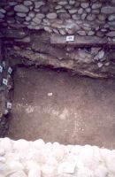 Cronica Cercetărilor Arheologice din România, Campania 2002. Raportul nr. 97