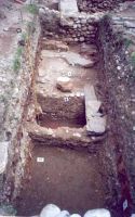 Cronica Cercetărilor Arheologice din România, Campania 2002. Raportul nr. 97