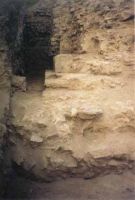 Cronica Cercetărilor Arheologice din România, Campania 2002. Raportul nr. 101