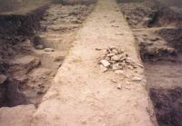 Cronica Cercetărilor Arheologice din România, Campania 2002. Raportul nr. 101
