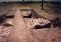 Cronica Cercetărilor Arheologice din România, Campania 2002. Raportul nr. 101