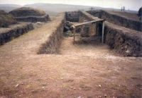 Cronica Cercetărilor Arheologice din România, Campania 2002. Raportul nr. 101