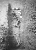 Cronica Cercetărilor Arheologice din România, Campania 2002. Raportul nr. 101