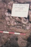 Cronica Cercetărilor Arheologice din România, Campania 2002. Raportul nr. 102