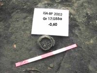 Cronica Cercetărilor Arheologice din România, Campania 2002. Raportul nr. 102