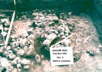 Cronica Cercetărilor Arheologice din România, Campania 2002. Raportul nr. 102