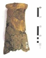 Cronica Cercetărilor Arheologice din România, Campania 2002. Raportul nr. 102