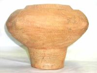 Cronica Cercetărilor Arheologice din România, Campania 2002. Raportul nr. 102