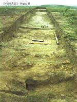 Cronica Cercetărilor Arheologice din România, Campania 2002. Raportul nr. 104