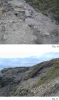 Cronica Cercetărilor Arheologice din România, Campania 2002. Raportul nr. 108