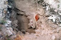 Cronica Cercetărilor Arheologice din România, Campania 2002. Raportul nr. 109