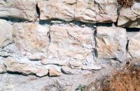 Cronica Cercetărilor Arheologice din România, Campania 2002. Raportul nr. 109