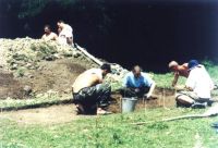 Cronica Cercetărilor Arheologice din România, Campania 2002. Raportul nr. 112