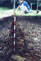 Cronica Cercetărilor Arheologice din România, Campania 2002. Raportul nr. 112