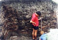 Cronica Cercetărilor Arheologice din România, Campania 2002. Raportul nr. 112