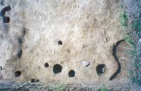Cronica Cercetărilor Arheologice din România, Campania 2002. Raportul nr. 117
