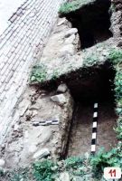 Cronica Cercetărilor Arheologice din România, Campania 2002. Raportul nr. 119