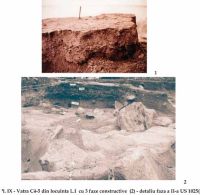Cronica Cercetărilor Arheologice din România, Campania 2002. Raportul nr. 126