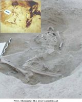 Cronica Cercetărilor Arheologice din România, Campania 2002. Raportul nr. 126