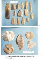 Cronica Cercetărilor Arheologice din România, Campania 2002. Raportul nr. 126
