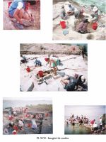 Cronica Cercetărilor Arheologice din România, Campania 2002. Raportul nr. 126