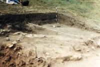 Cronica Cercetărilor Arheologice din România, Campania 2002. Raportul nr. 138