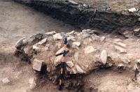 Cronica Cercetărilor Arheologice din România, Campania 2002. Raportul nr. 138