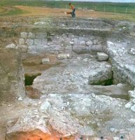 Cronica Cercetărilor Arheologice din România, Campania 2002. Raportul nr. 139