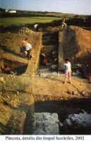 Cronica Cercetărilor Arheologice din România, Campania 2002. Raportul nr. 140