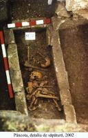 Cronica Cercetărilor Arheologice din România, Campania 2002. Raportul nr. 140