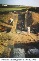 Cronica Cercetărilor Arheologice din România, Campania 2002. Raportul nr. 140