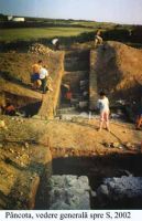 Cronica Cercetărilor Arheologice din România, Campania 2002. Raportul nr. 140
