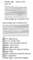 Cronica Cercetărilor Arheologice din România, Campania 2002. Raportul nr. 156