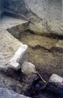 Cronica Cercetărilor Arheologice din România, Campania 2002. Raportul nr. 156
