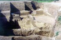 Cronica Cercetărilor Arheologice din România, Campania 2002. Raportul nr. 156