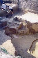 Cronica Cercetărilor Arheologice din România, Campania 2002. Raportul nr. 156
