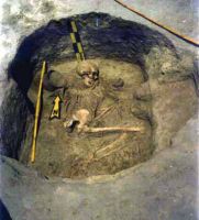 Cronica Cercetărilor Arheologice din România, Campania 2002. Raportul nr. 161