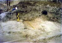 Cronica Cercetărilor Arheologice din România, Campania 2002. Raportul nr. 161